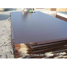 18mm Black Film Poplar Core Marine Plywood to Dubai Market